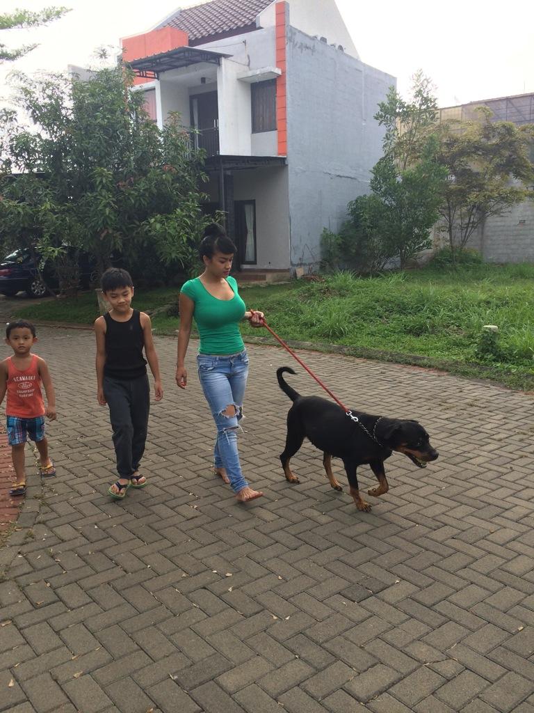 Embedded image permalink