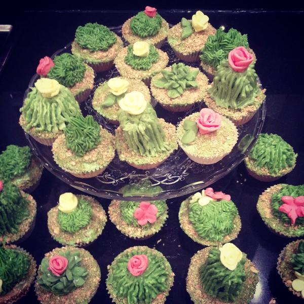 daisyscakes1's tweet photo. Some cactus themed cakes for @markiesb http://t.co/62OWvnevOd