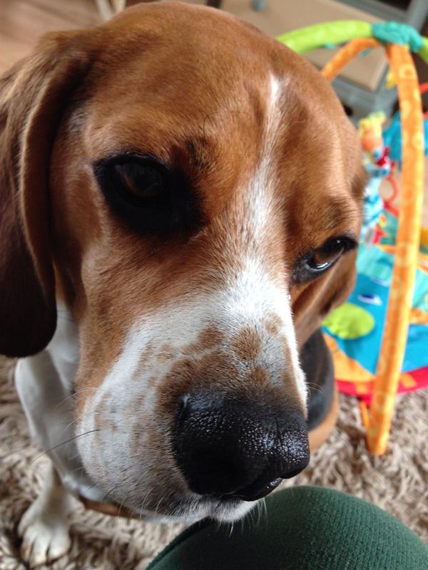 Oh my days...lil bro has a biscuit,fingers crossed he drops it.