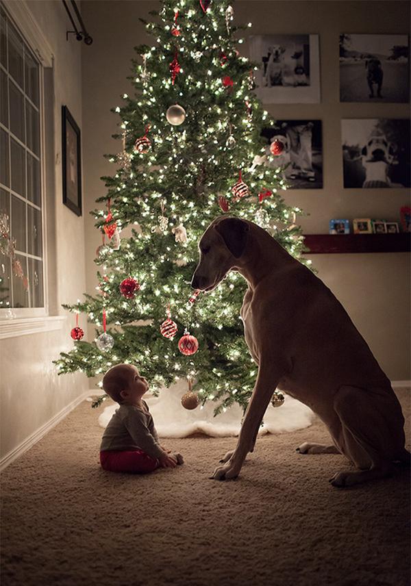A3Noticias's tweet photo. Pequeños grandes amigos. 13 fotos que demuestran que la amistad no entiende de tamaños GALERÍA http://t.co/7dtGRTtpdX http://t.co/GlXnF58J7I