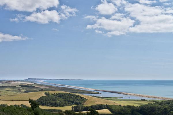 How many retweets for this classic view of Abbotsbury Swannery, Weymouth and Portland? #DorsetHour/<a href="/Dorset_Hour/">#Dorsethour</a>