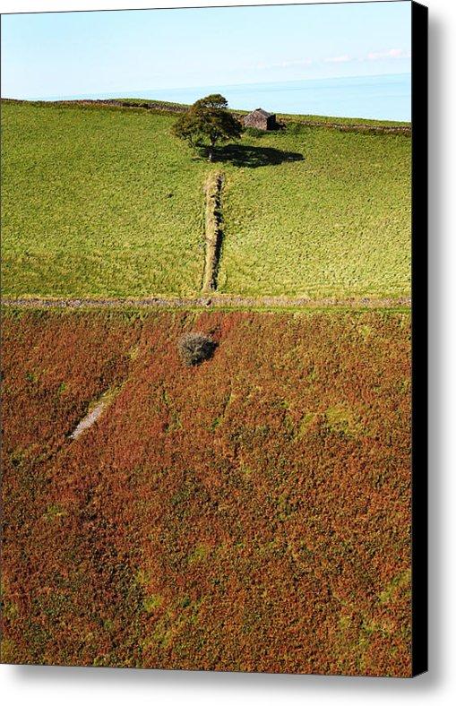 EdPhotoTW's tweet image. New artwork for sale! - "King of the Hill" - artistwebsites.com/featured/king-… @fineartamerica