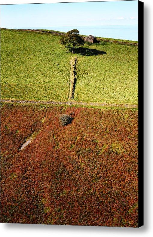 EdPhotoTW's tweet image. New artwork for sale! - "King of the Hill" - artistwebsites.com/featured/king-… @fineartamerica