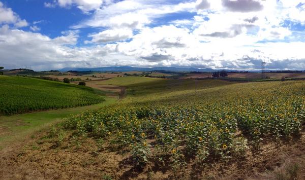 csaper's tweet image. Ciao, Tuscany! Molto buene! (cc: @gabissto) (@ Aeroporto di Firenze "Amerigo Vespucci" (FLR)) swarmapp.com/csaper/checkin…