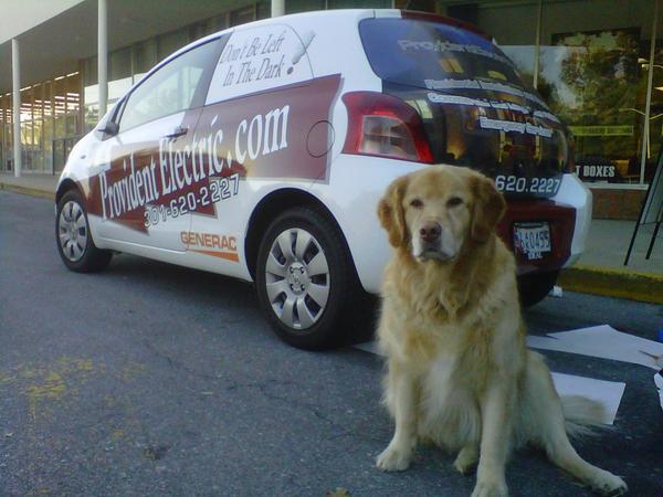 WetchCo's tweet image. It's #NationalMuttDay and our #shopdog "Buck" is proud to be a mutt. Give Buck a retweet. #wetchco #DOGSRULE