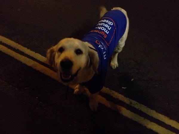 mncycle200's tweet image. The top supporter, Fleur! #mnda #mnd @mndassoc