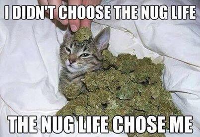 Me http://t.co/Mt7j5quG9B<a href="/tag/live"class="tags"><span>#live</span></a><a href="/tag/latina"class="tags"><span>#latina</span></a><a href="/tag/porn"class="tags"><span>#porn</span></a><a href="/tag/nude"class="tags"><span>#nude</span></a><a href="/tag/adult"class="tags"><span>#adult</span></a><a href="/tag/manyvids"class="tags"><span>#manyvids</span></a><a href="/tag/onlyfans"class="tags"><span>#onlyfans</span></a>