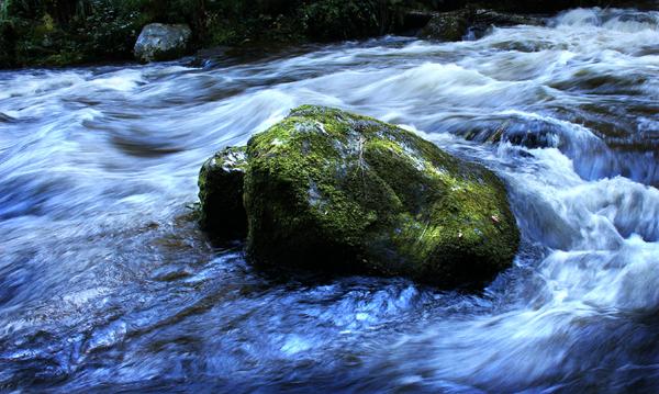 EdPhotoTW's tweet image. Photograph of a mossy rock in the East Lyn River, near beautiful Watersmeet, North Devon.
