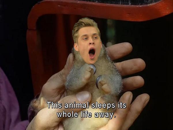 UKSoftengine's tweet image. 