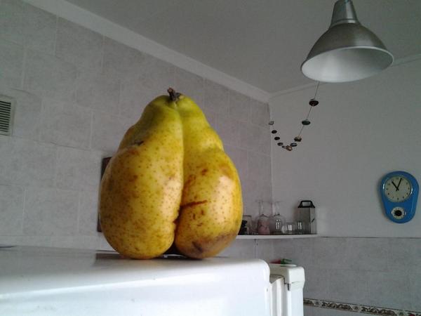 Delicioso lo que encontré en la verdulería erótica de la esquina