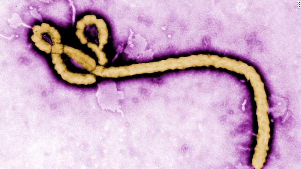 Ebola hits the Gatwick UK