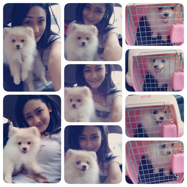 DwiSepseptiani's tweet photo. http://t.co/nGguhkuPVV
