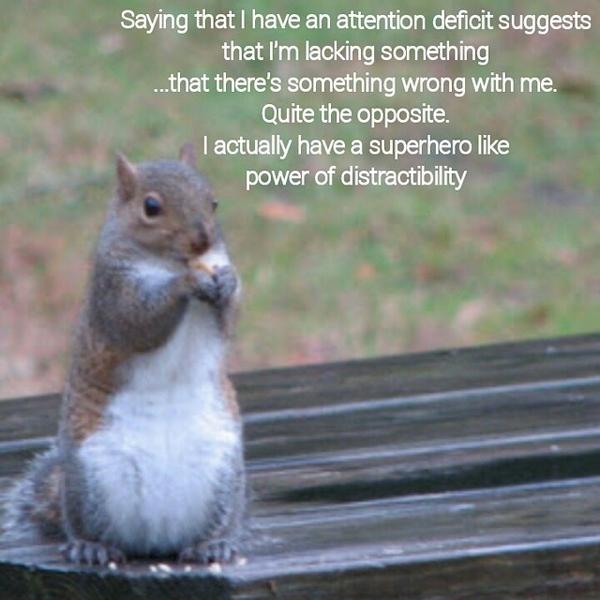 #ADD #ADHD #Squirrel #GreySquirrel #ShakeYourBushyTail #ThatRemindsMe #INeedToCallPeggy