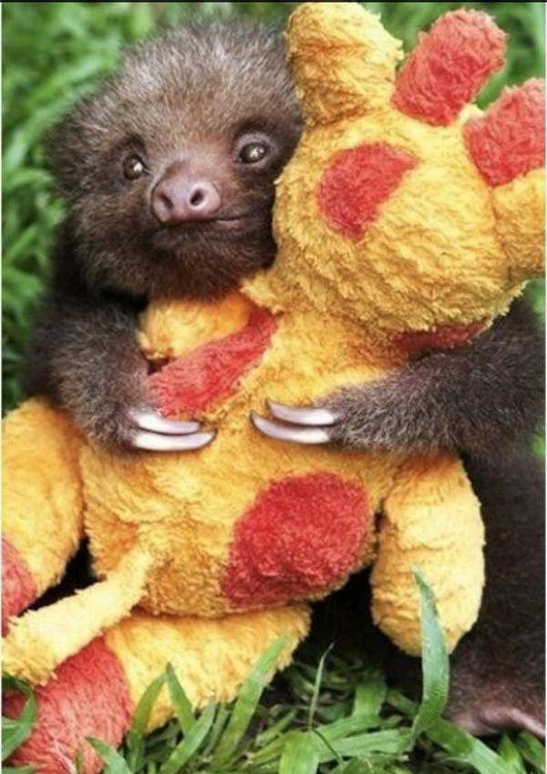 All_AmericanMan's tweet photo. Even Merican Man's gotta soft side http://t.co/T9lXfIKayr