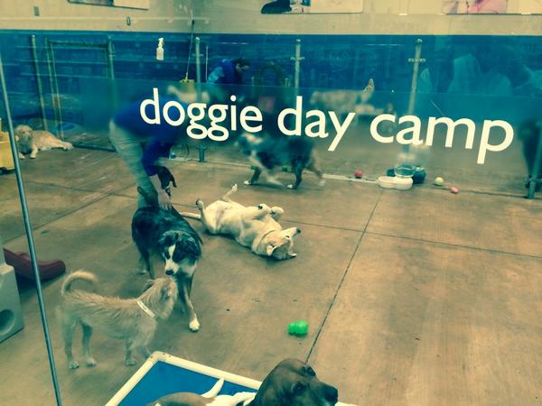DhordD's tweet photo. Inspired to just take it easy and enjoy the day. #inspiredbypets http://t.co/VljePAo7nU