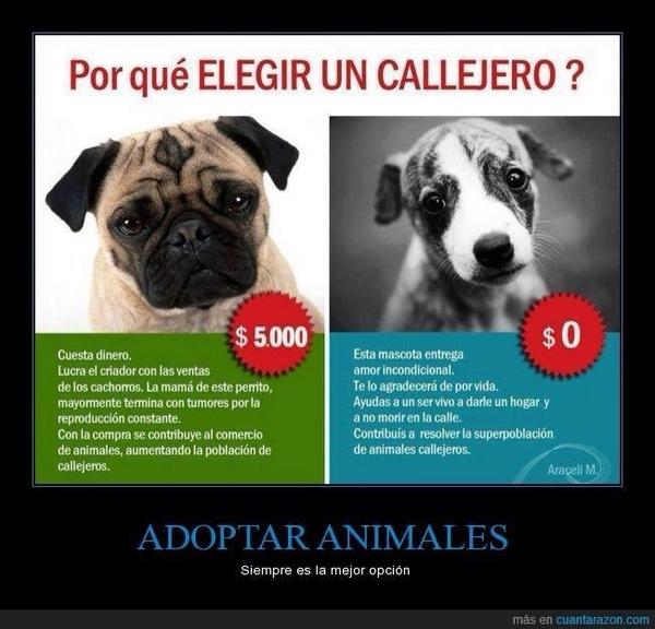 Gabriela 🐈 tweet media