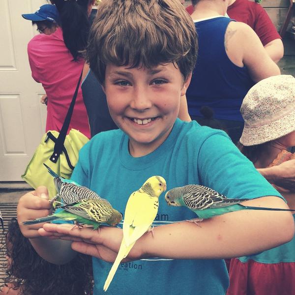 Hanging with the birds at Franklin Park Zoo! #BudgieBlast