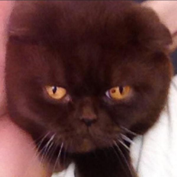 ChocoBeo's tweet image. Moi qui écoute 3g de Booba