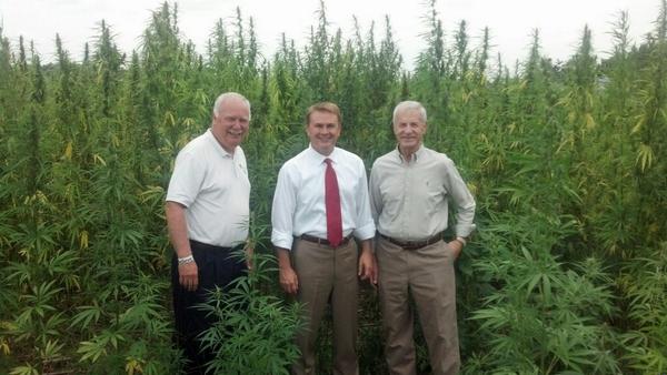 Kyagproduction's tweet photo. “@KYComer: Toured the impressive #Hemp Research Plot on Murray State's Farm today. http://t.co/CfR40ScmEz”