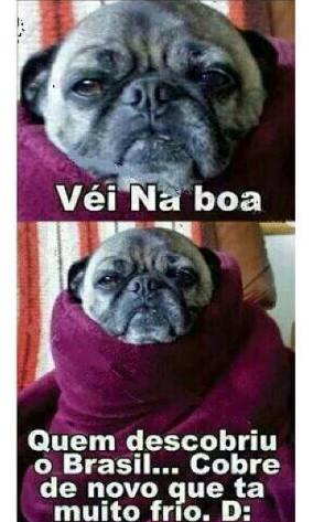 _direction__one's tweet image. Isso q da descobrir do Brasil