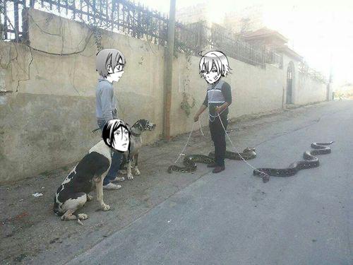 Canis__Fidelis's tweet image. ...