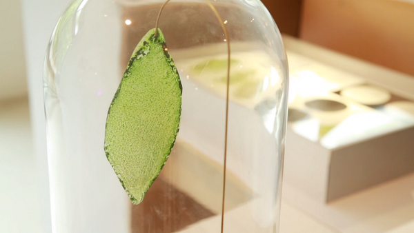 Student designs a plastic leaf that can produce oxygen  psfk.com/2014/07/studen… via <a href="/psfk/">PSFK</a>
