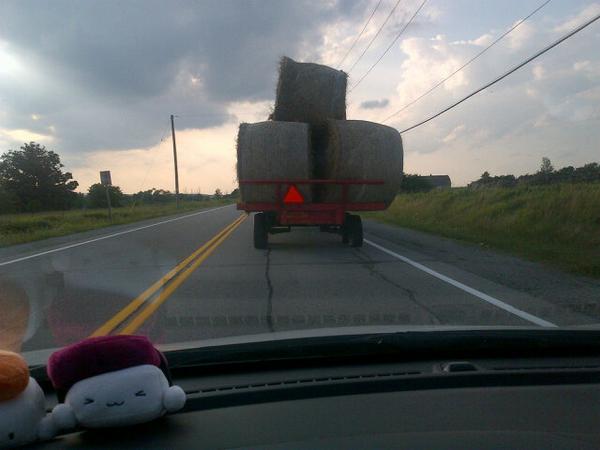 Jp_Chefposadas's tweet image. You have got to be kidding me! #miltonproblems