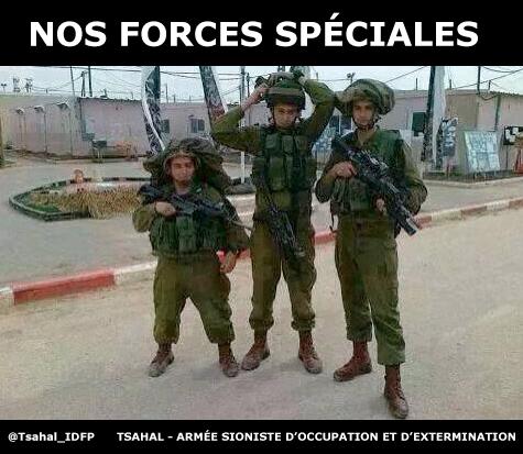 https://pbs.twimg.com/media/Bt6QC1RCYAEOkWy.jpg