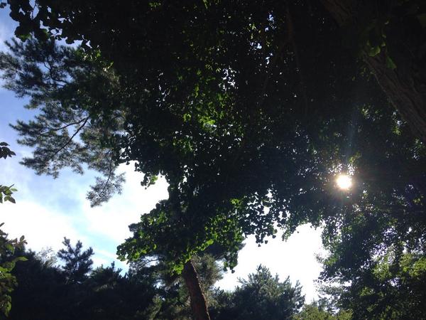 sf_Nam's tweet photo. 산책.
조금만 부지런하면 누릴 수 있는 자연에 감사 http://t.co/9D2Q3BIDyU