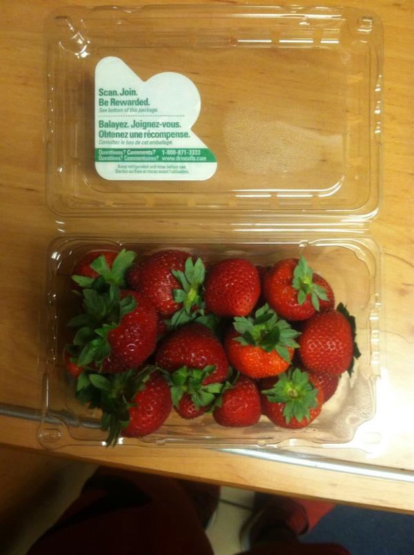 serence87's tweet photo. Delicacy ryte now}£nough $aid #powdersugar http://t.co/RM4YTlOUZf