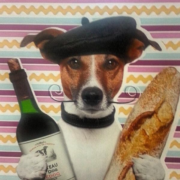 FELIPEguau's tweet photo. Volviiiii !!! Jajaja con mi amigo Jack bien franchute... http://t.co/u4OhFeYcJD
