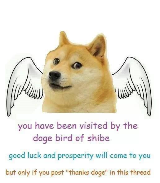 50Doge tweet media