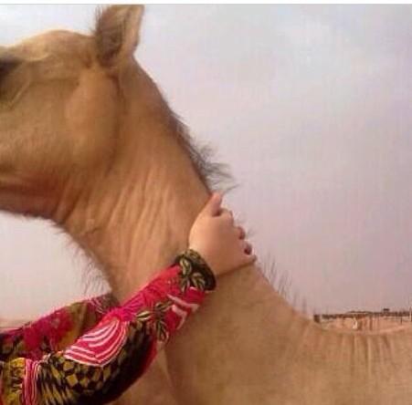 بنت الحفر (@beent_shuoo5) on Twitter photo 