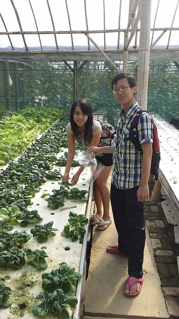 lichandr's tweet image. Liburan lebaran di jendela alam