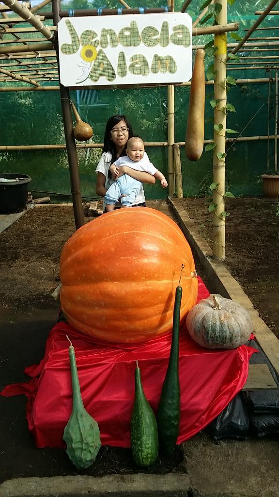 lichandr's tweet image. Liburan lebaran di jendela alam