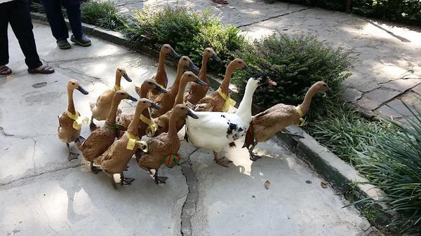 lichandr's tweet image. Liburan lebaran di jendela alam