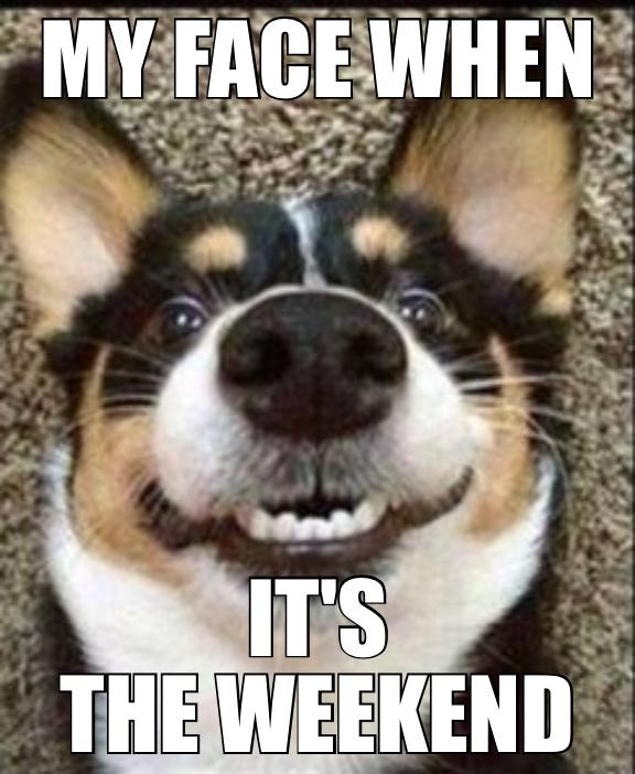 sustainednoize's tweet image. #weekend #weekendstatus