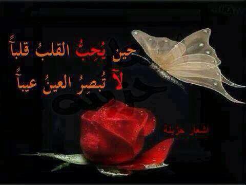 saif_alsrhan's tweet photo. حب الشكل يفنى🍂 وحب القلب يبقى🍃 http://t.co/ml5WbLxZ8R