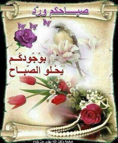 Noontoon3's tweet photo. @fb8039a8f73e482 @muhammdb56 @R_qm77 @alaanqqqaa @zahraa_kadhem http://t.co/j7hS2cllMU