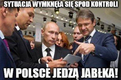 [Obrazek: Bt77JwvCIAE5bls.jpg:large]