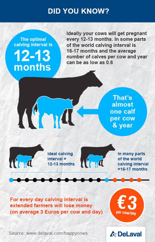 DeLaval's tweet photo. The ideal calving interval is 12-13 months. Not more. Not less. #HappyCows #CowLongevity http://t.co/4ubpxV4yyA http://t.co/IDL9Onfbpe
