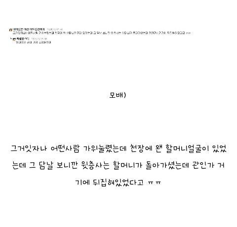 권홀이다 tweet media