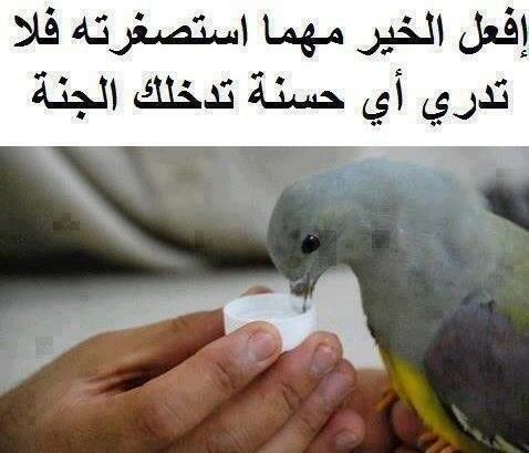 ammarhashim8's tweet photo. http://t.co/Bruizcub0V