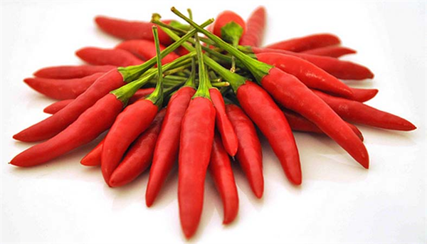 Harbiyiyorum'dan Bir Dev Hizmet Daha - İşte Size Acı Biber Rehberi! bit.ly/1kaLQt2