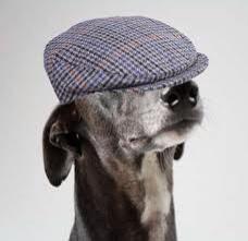 Happy Yorkshire day!!! @HollyVsFood <a href="/xxjimbobx/">James Buckingham</a> <a href="/TJ_Hgt/">Tony Hoggett</a> @ChinaAndTeaCosy