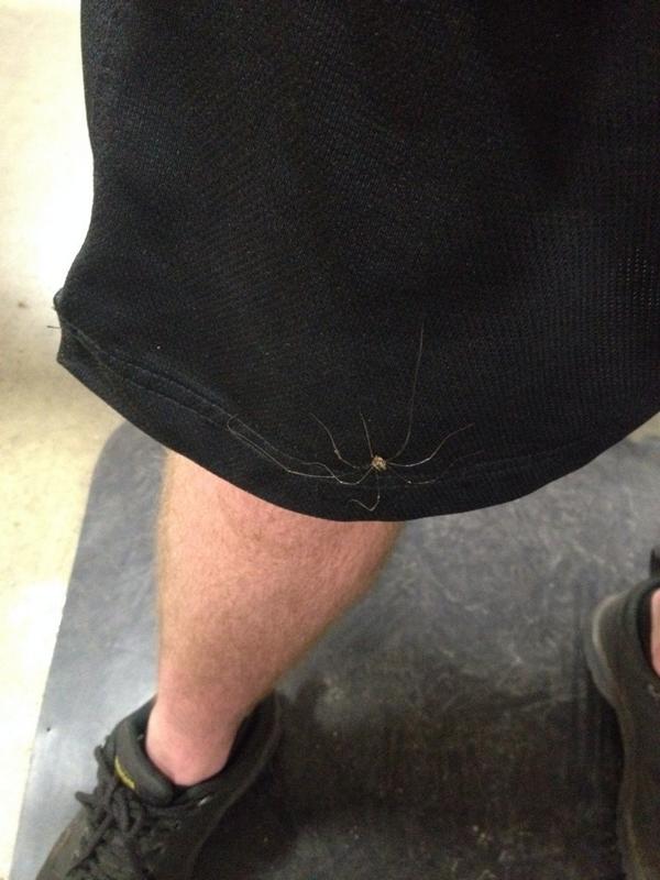 aussie195's tweet image. Im not even mad because there are starving kids in Africa that would love food crawling up their leg #rtfav#4thekids