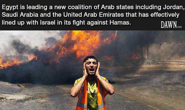 dawn_com's tweet image. Arab states support Israel against Hamas: NYT dawn.com/news/1122517