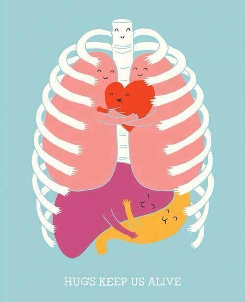 OrganDonorFsa's tweet image. Please make a difference SA &amp;amp; register.  odf.org.za