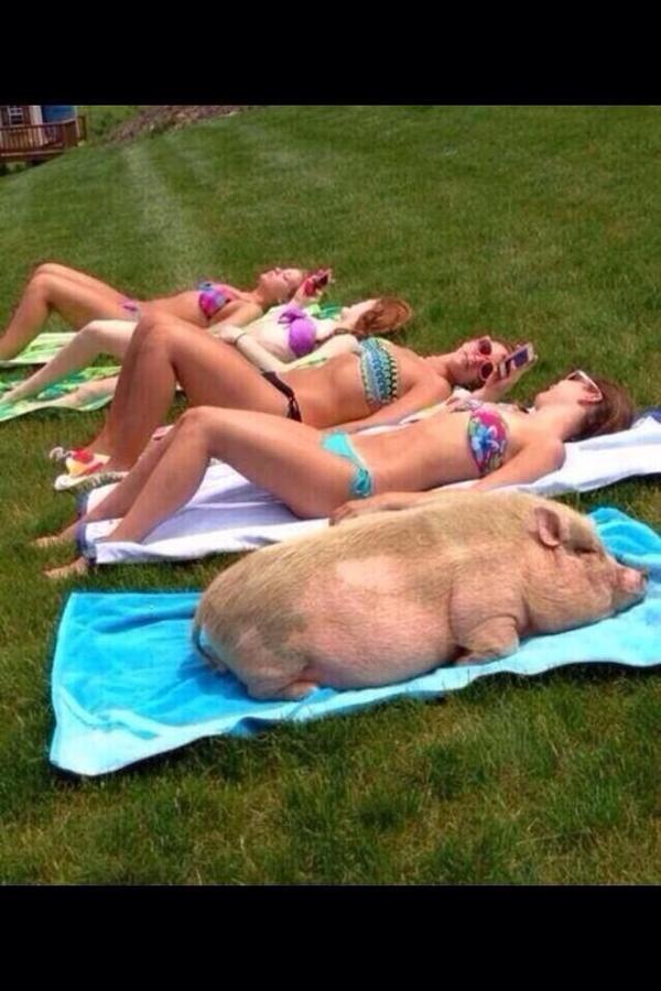 MejoresExamenes's tweet photo. SIEMPRE HAY UN GRUPO DE AMIGAS ASI EN LA PISCINA. http://t.co/wzvO4X9z7b