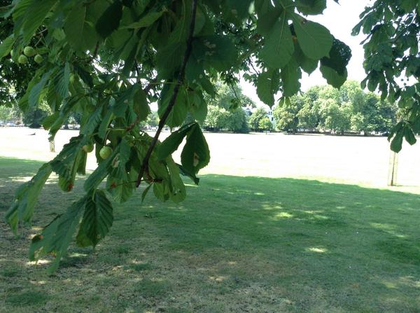 E4Drifters's tweet image. View from #Drifters production office at unit base.Nice! What&apos;s the view like from your office window?#workavoidance